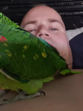 German men looking for love